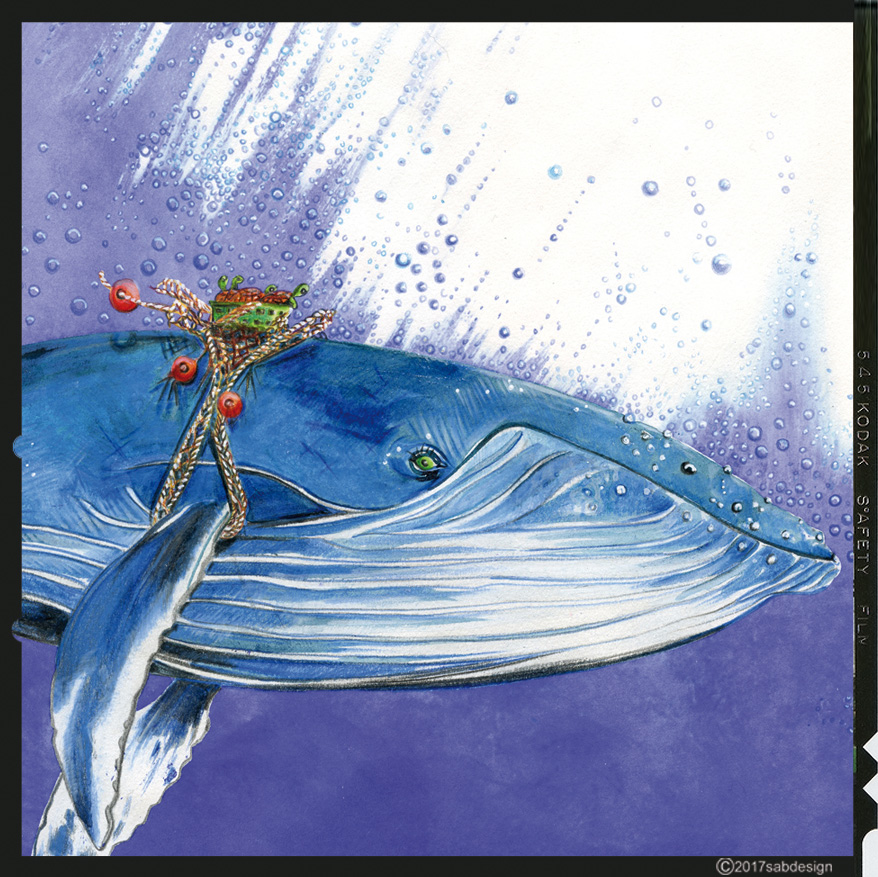sabine-hautefeuille-illustration-baleine-mers-oceans