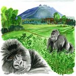 illustration-voyage-rwanda-gorille