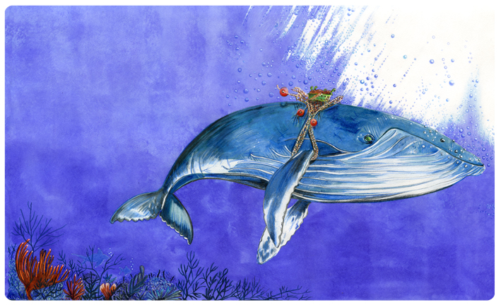 illustration jeunesse sur les oceans-poissons-mammifere marin-pollution des oceans-pollution des mers- écologie-